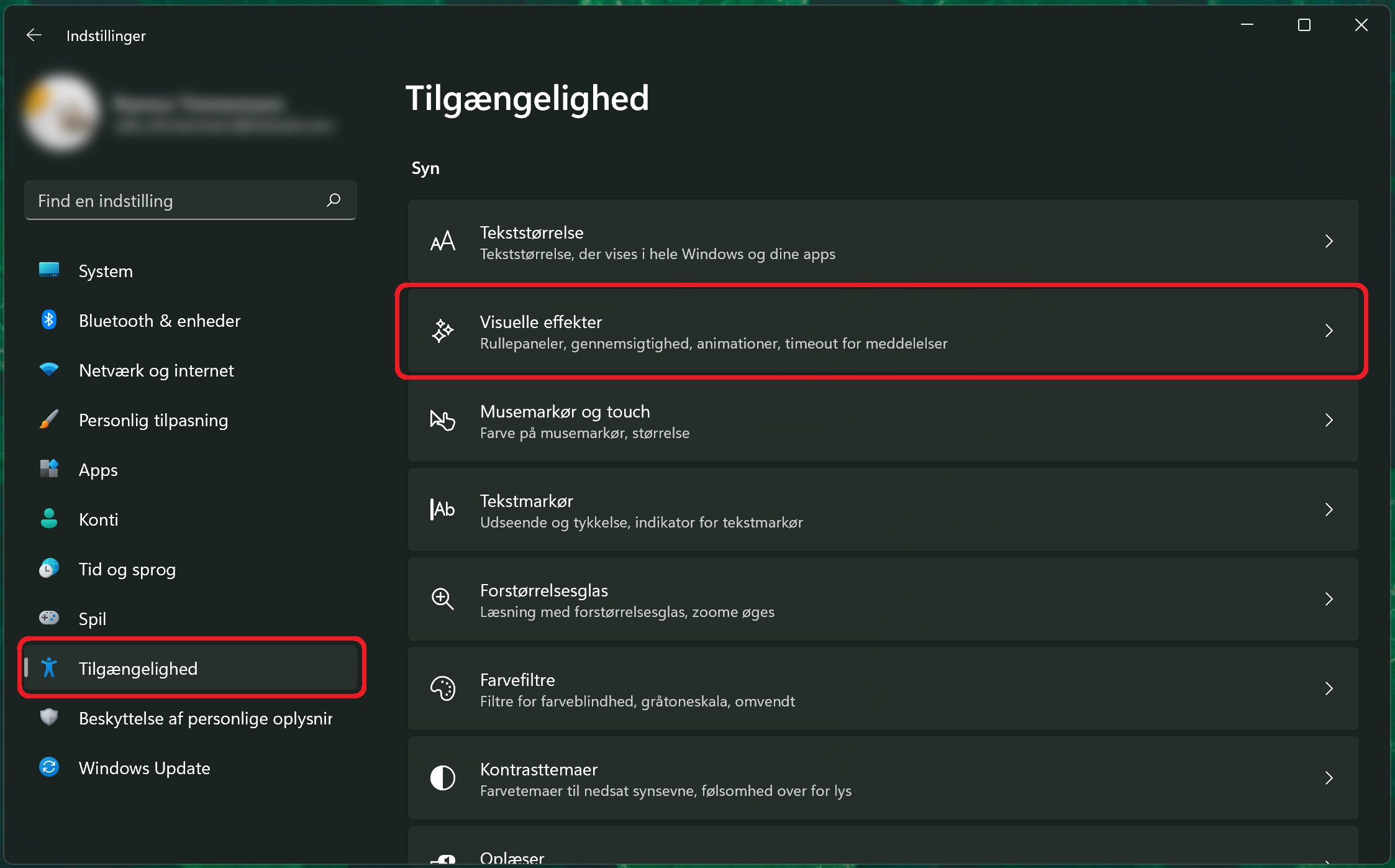 Tilgængelighed under indstillinger
